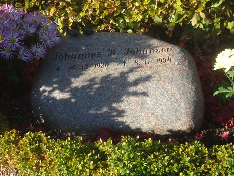 Johannes K. Johansen.JPG